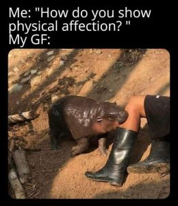 Stupid Bar Memes kz2DsXk