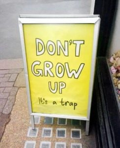 Stupid Bar Memes morningspicss3768s640shighs20