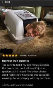 Stupid Bar Memes morningspicss3810s640shighs49