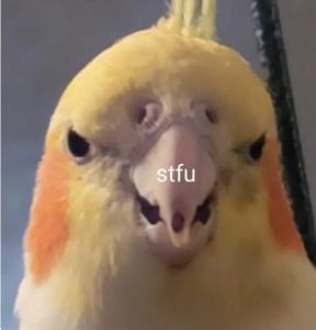 Stupid Bar Memes nDJPyLN