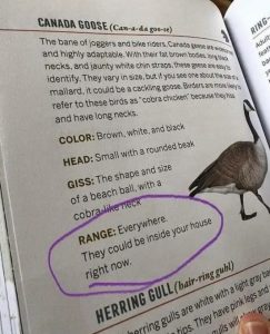 Stupid Bar Memes rmaVDbU