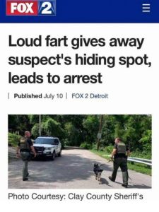 Stupid Bar Memes sspicss4383s640shighs60