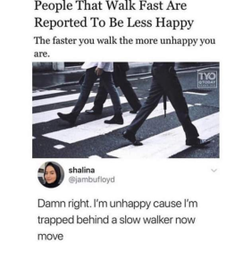 Stupid Bar Memes vWRUKJP