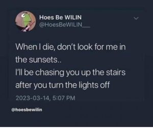 Stupid Bar Memes wRyLi30