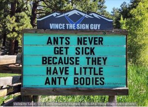 Stupid Bar Memes youresansant