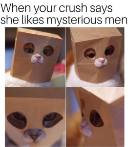 Stupid Bar Memes youresaslittlescrazy
