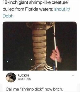 Stupid Bar Memes youreswantingsshrimp