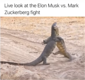 Stupid Bar Memes yoursliveslook