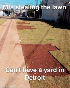 Stupid Bar Memes yoursyard