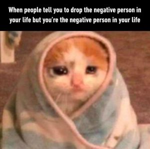 Stupid Bar Memes yousaslife