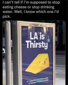 Stupid Bar Memes youseatingscheese