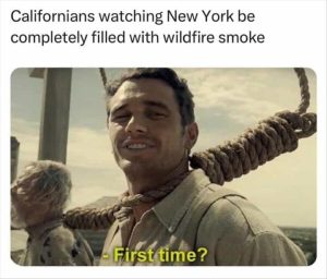Stupid Bar Memes youslivesinscalifornia