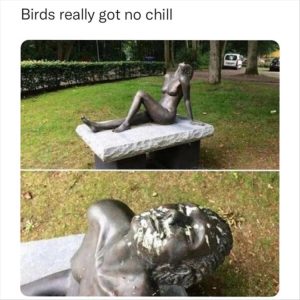 Stupid Bar Memes yousseesthesbirds