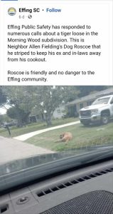 Stupid Bar Memes youswantsdogs