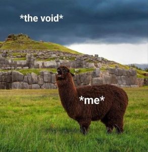 Stupid Bar Memes yousyelling