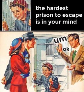 Stupid Bar Memes zsasfunnys8
