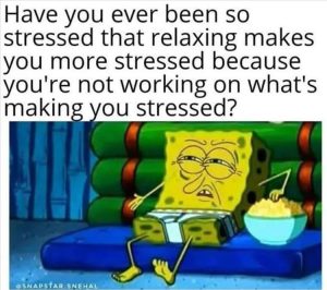 Stupid Bar Memes zsbssbmemessb63sb1