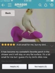 Stupid Bar Memes zsfunnys16s1