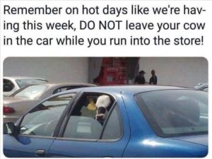 Stupid Bar Memes zsfunnys49s3