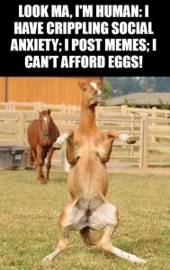 Stupid Bar Memes zsfunnys8