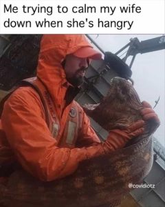 Stupid Bar Memes zsfuns22s1