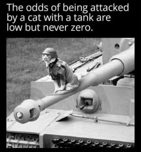 Stupid Bar Memes zsfuns9s1