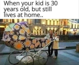 Stupid Bar Memes zsfunsmemess11