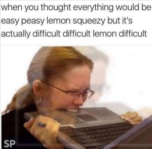 Stupid Bar Memes zsfunsmemess29