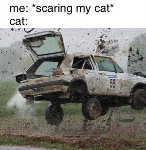 Stupid Bar Memes zsfunsmemess3s1