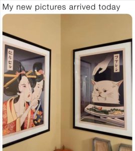 Stupid Bar Memes zsfunsmemess48