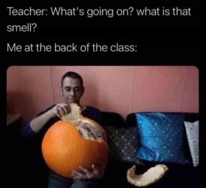 Stupid Bar Memes zsfunsmemess72s1