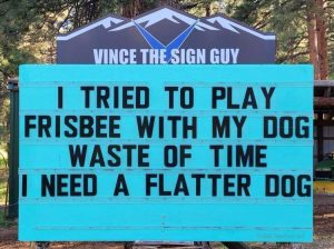 Stupid Bar Memes zsmemes148