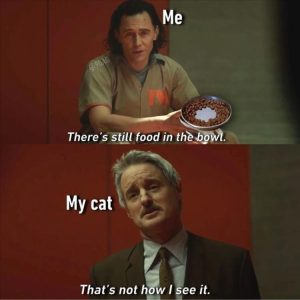 Stupid Bar Memes zsmemess115