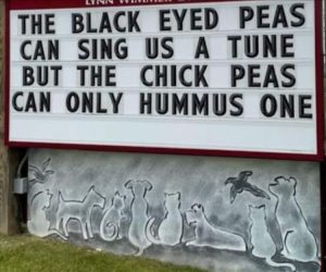 Stupid Bar Memes zsmemess43s2
