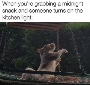 Stupid Bar Memes zsmemess81s1