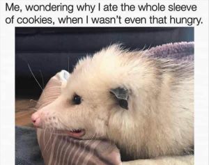 Stupid Bar Memes zzs51