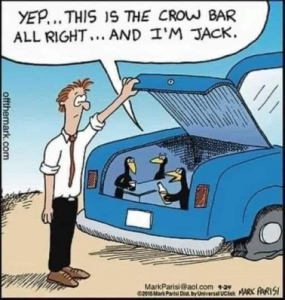 Stupid Bar Memes 013f6b8beaa1540d