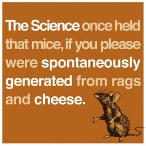 Stupid Bar Memes 02117aa9640ffe23