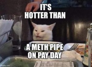 Stupid Bar Memes 05e4f24328c1a21d