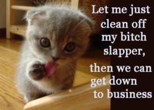 Stupid Bar Memes 07147ca9be17f876