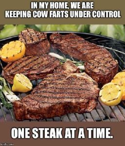 Stupid Bar Memes 182e1ecc60cd2f33
