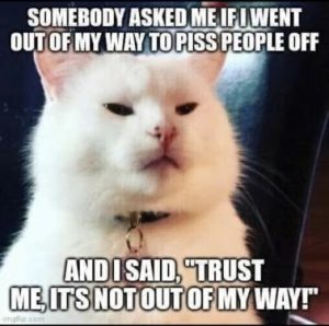 Stupid Bar Memes 1aed7bd3a2fc0686