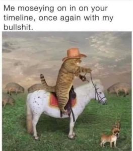 Stupid Bar Memes 2278be017c3fbc5f