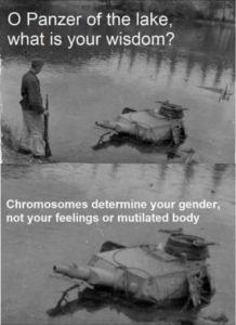 Stupid Bar Memes 249e4932e4a6cd11