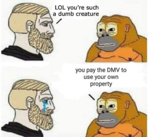 Stupid Bar Memes 295e729c147b4ca8