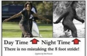 Stupid Bar Memes 2f302bccb2a856f5