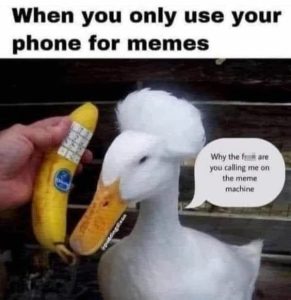 Stupid Bar Memes 3172d534af131937