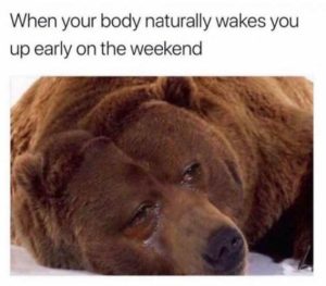 Stupid Bar Memes 353bfc9602f2c4eb