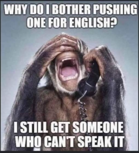 Stupid Bar Memes 3c6ebce81b828df4