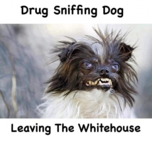 Stupid Bar Memes 41b3214c6d10824c